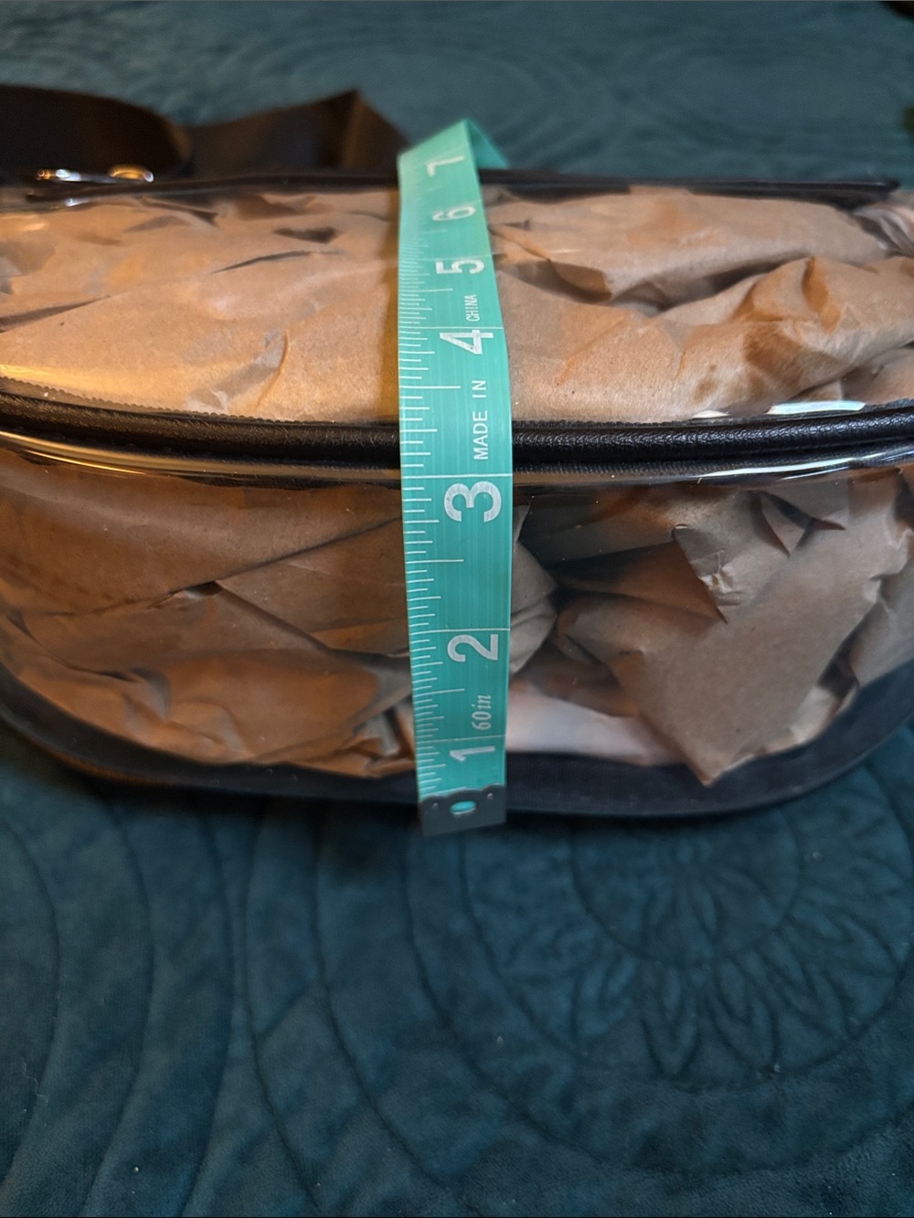 Target Clear Crossbody Belt Bag with Black Trim - Picture 2 of 4